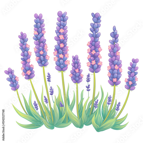 modern lavender flower art lavender botanical artwork, lavender floral minimal design, lavender modern flower illustration herbal plant design for wellness minimal botanical illustration