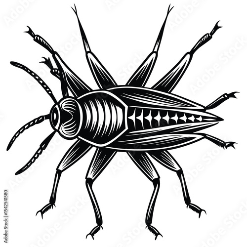Detailed monochrome illustration of a grasshopper with intricate line work and sharp leg details