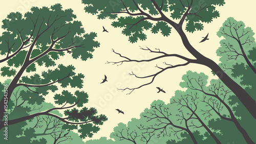 Looking up at trees in forest with birds flying, nature illustration, scenic view, tree canopy, vector art