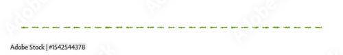 Organic Green Horizontal Line Border Design for Natural and Eco-Friendly Presentations