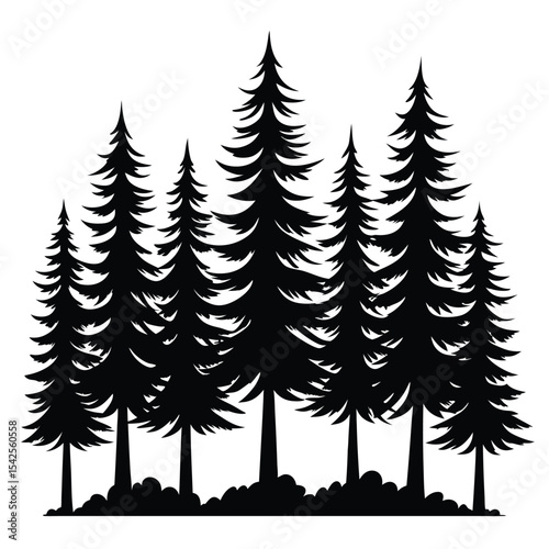 Silhouette of a coniferous forest