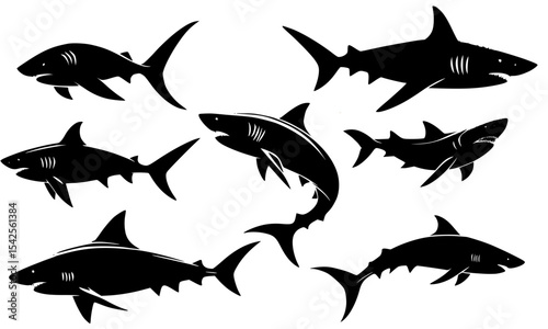 silhouette of sharks