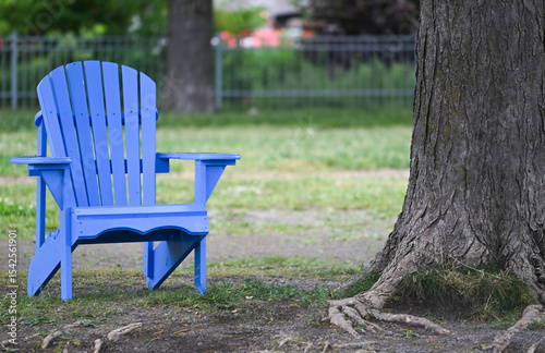 A blue Adirondack chair in a park next to a tree and grass