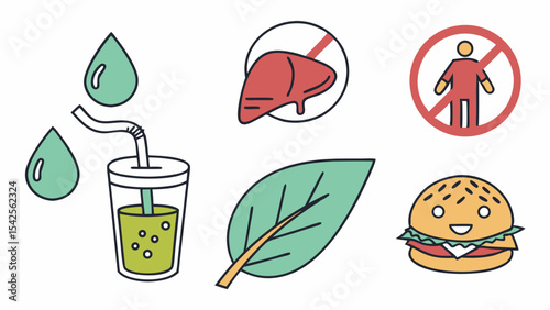 Healthy Liver  Hydration, Nutrition, and Lifestyle Choices