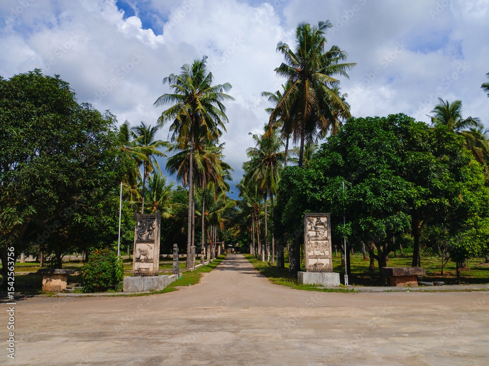 Fototapeta premium palm trees in the park