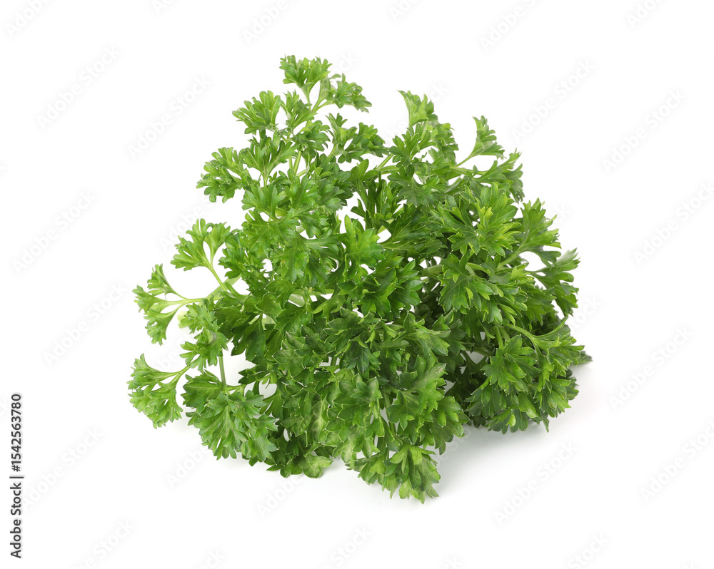 Fototapeta premium Bunch of fresh parsley isolated on white