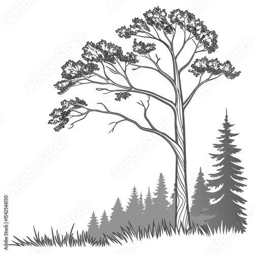 Architectural Drawings, Minimal style cad tree line drawing, Side view, set of section wildlife forest outline symbol for landscape design drawing. Vector illustration in stroke fill in white