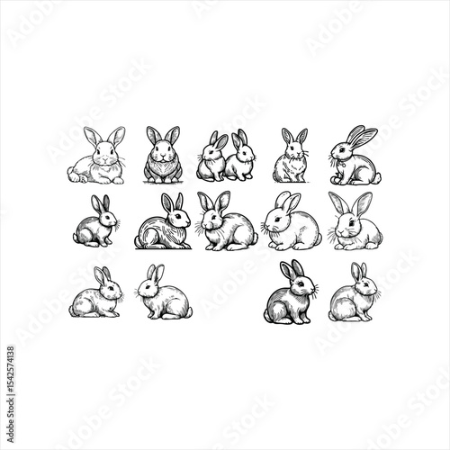 Cute Rabbit With coloring book pages picture,Rabbit line art, Rabbit outline drawing vector illustration, Rabbit vector art