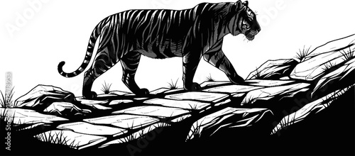 Tiger Silhouette Walking
