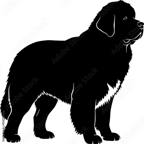 Silhouette of a Newfoundland
