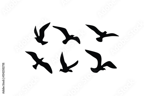 black bird logo vector illustration logo design