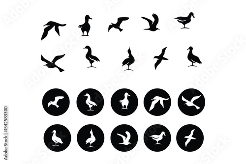 black bird logo vector illustration logo design