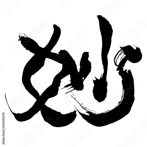 Japan calligraphy art【이상한・Strange・odd・peculiar】日本の書道アート【妙・ミョウ・ビョウ】／This is Japanese kanji 日本の漢字です／illustrator vector イラストレーターベクター