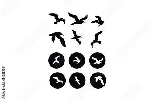 black bird logo vector illustration logo design