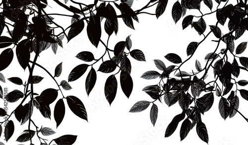 Silhouette of black leaves against a light background, creating a striking contrast.