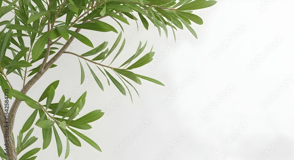 Naklejka premium Leaves, Green leaves, Plant, Lush Green Leaves on White Background