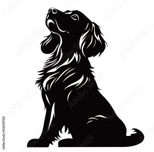 Elegant silhouette of a dog sitting majestically with a shiny coat.