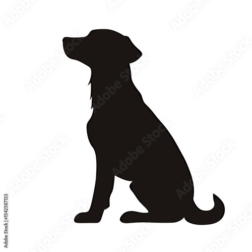 Silhouette of a sitting dog, showcasing its elegant and attentive posture.