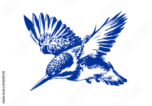 Kingfisher bird hand drawn sketch vector illustration