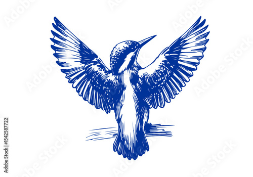 Kingfisher bird hand drawn sketch vector illustration