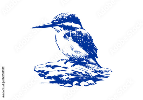 Kingfisher bird hand drawn sketch vector illustration