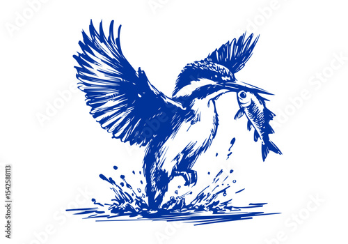 Kingfisher bird hand drawn sketch vector illustration