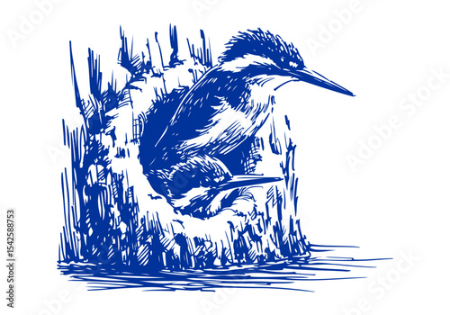 Kingfisher bird hand drawn sketch vector illustration