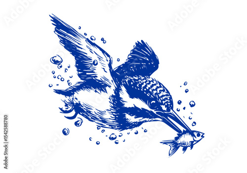 Kingfisher bird hand drawn sketch vector illustration