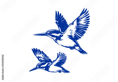 Kingfisher bird hand drawn sketch vector illustration