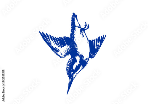 Kingfisher bird hand drawn sketch vector illustration