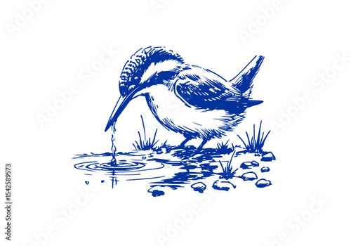 Kingfisher bird hand drawn sketch vector illustration