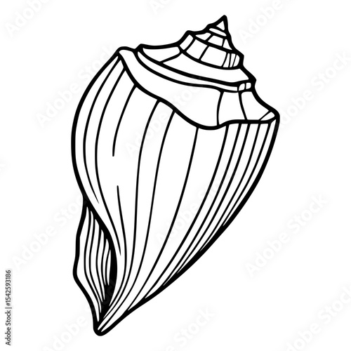 Isolated Seashell Black Outline Drawing
