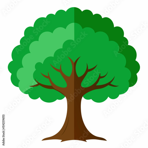 One wide massive old oak tree with green leaves vector on white background.