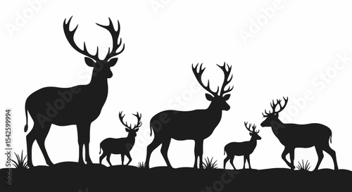 silhouette of a deer