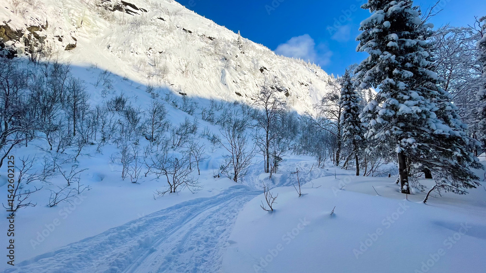 Obraz premium Stunning snowy mountain landscape with bright blue sky, frosted trees, and untouched snow trail. Perfect for winter tourism, holiday cards, nature backgrounds, outdoor adventure, and seasonal design.