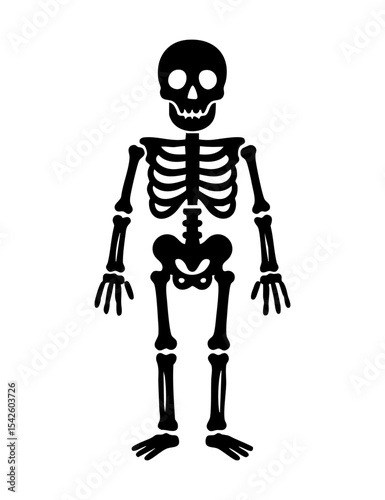 Simple black vector silhouette of a human skeleton. Ideal for Halloween, educational materials, medical designs, or a minimalist, spooky graphic element.