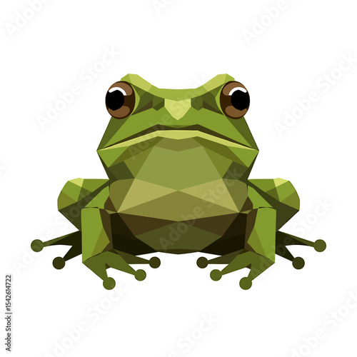 Geometric frog illustration against a white background demonstrating polygonal art