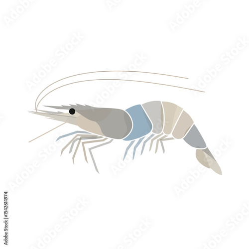 Isolated shrimp illustration with minimalist design on white background image