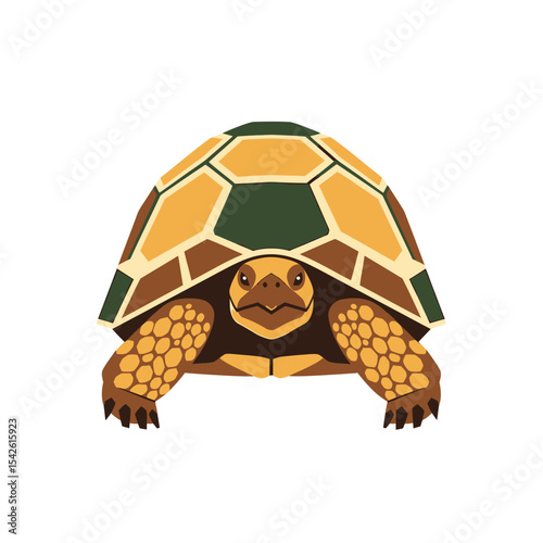 Stylized Turtle Illustration with Geometric Shell and Earthy Tones on White Backdrop