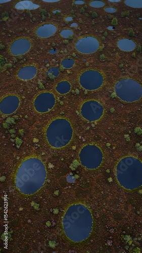 Aerial View of Unique Circular Water Puddles in Nature Surrounded by Greenery