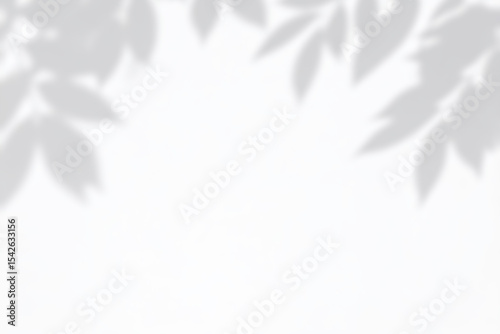 Minimal blurred White wall with shadow of leaves overlay backgrounds. Sunlight effect shadow on the wall.