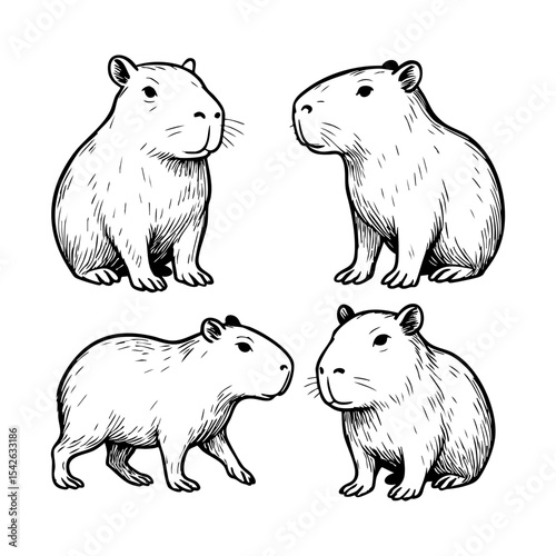 A set of hand-drawn vector capybaras in various poses. Ideal for animal-themed designs, educational materials, children's books, or a cute, unique graphic element.