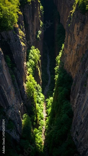 Breathtaking Narrow Canyon Featuring Lush Greenery and Rocky Cliff Sides in a Serene Natural Landscape