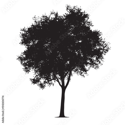 Aspen Tree Silhouette Design for Nature Art