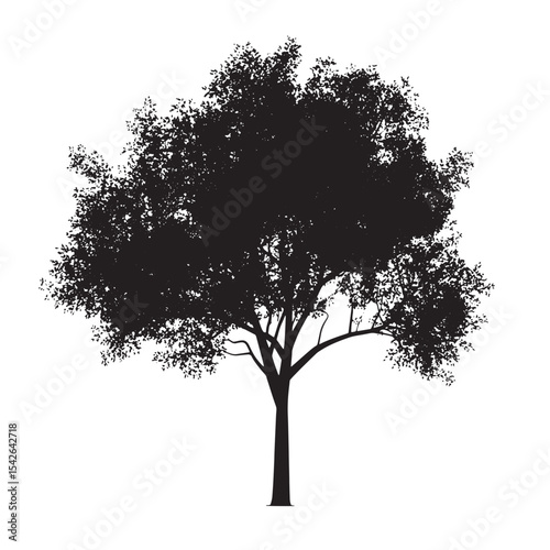Aspen Tree Vector Silhouette Isolated Design