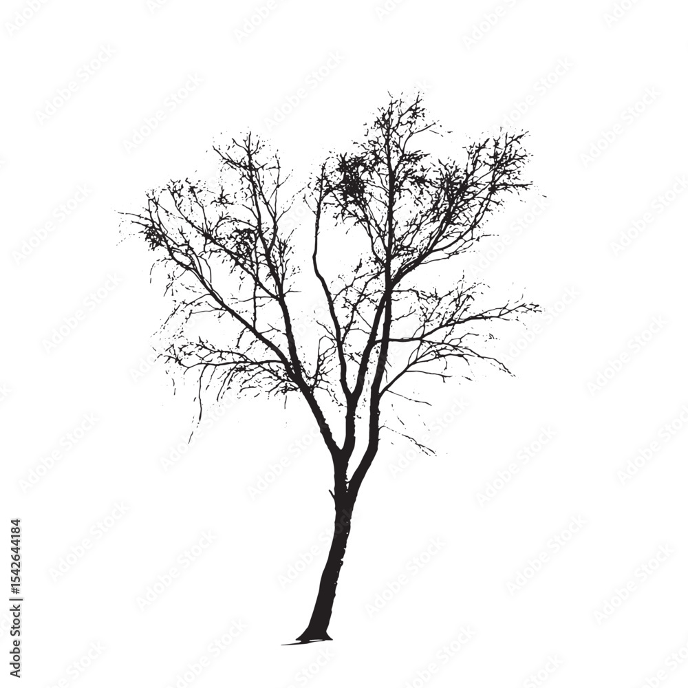 Obraz premium Black Vector Silhouette of a Tall Aspen Tree