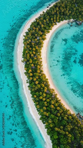 Aerial View of Stunning Tropical Island with Lush Palm Trees and Clear Blue Waters