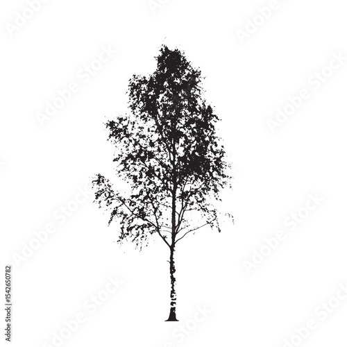Detailed Black Silhouette of Aspen Tree