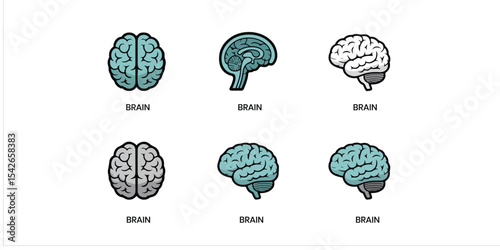 Illustrations of human brains in different views and colors on a white background with brain label