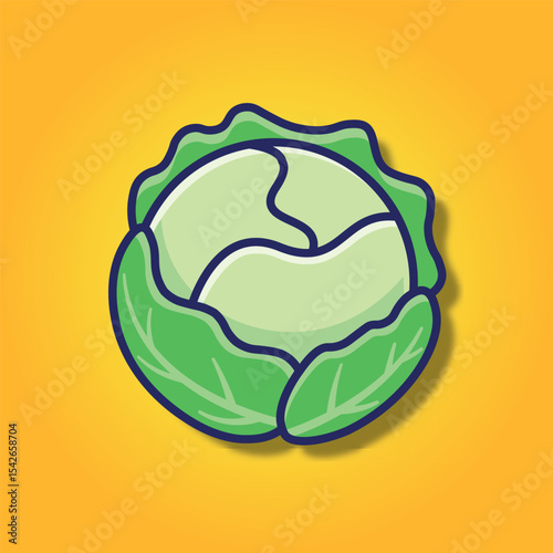 CABBAGE VECTOR ILLUSTRATION